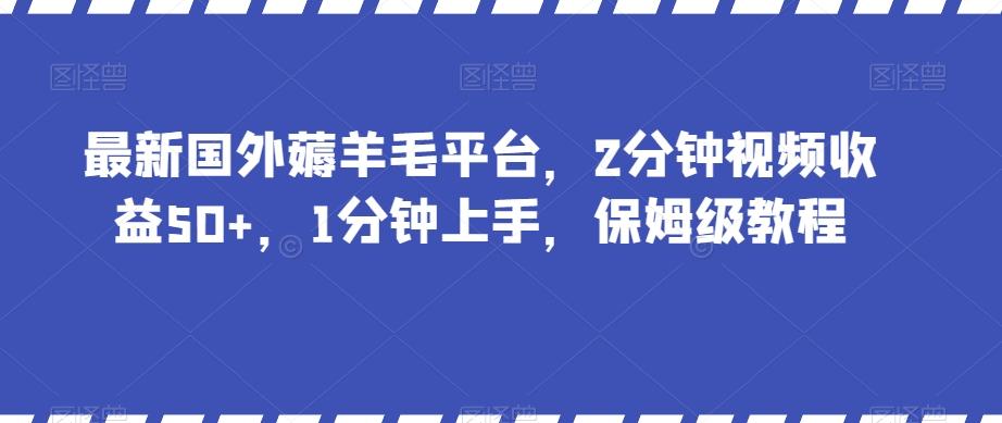 最新国外薅羊毛平台，2分钟视频收益50+，1分钟上手，保姆级教程【揭秘】-星河轻创