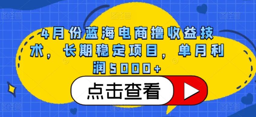 4月份蓝海电商撸收益技术，长期稳定项目，单月利润5000+【揭秘】-星河轻创
