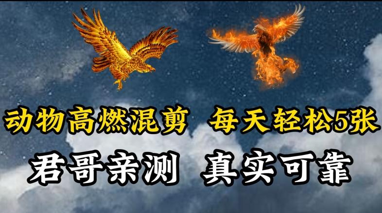 动物超燃混剪，每天轻松5张，剪辑简单大家爱看【揭秘】-星河轻创