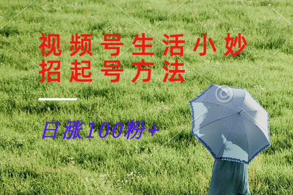 视频号生活小妙招分享赛道， 起号涨粉新方法，日涨100粉-星河轻创