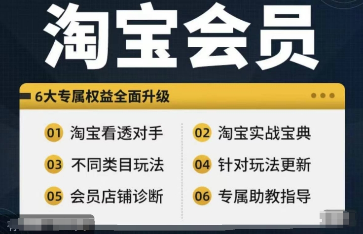 淘宝会员【淘宝所有课程，全面分析对手】，初级到高手全系实战宝典-星河轻创