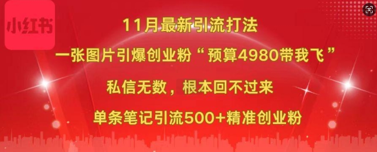 小红书11月最新图片打粉，一张图片引爆创业粉，“预算4980带我飞”，单条引流500+精准创业粉-星河轻创