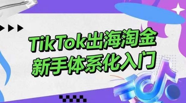 TikTok出海淘金，新手体系化入门，零基础快速入门，掌握短视频、直播带货等引流到变现的知识-星河轻创