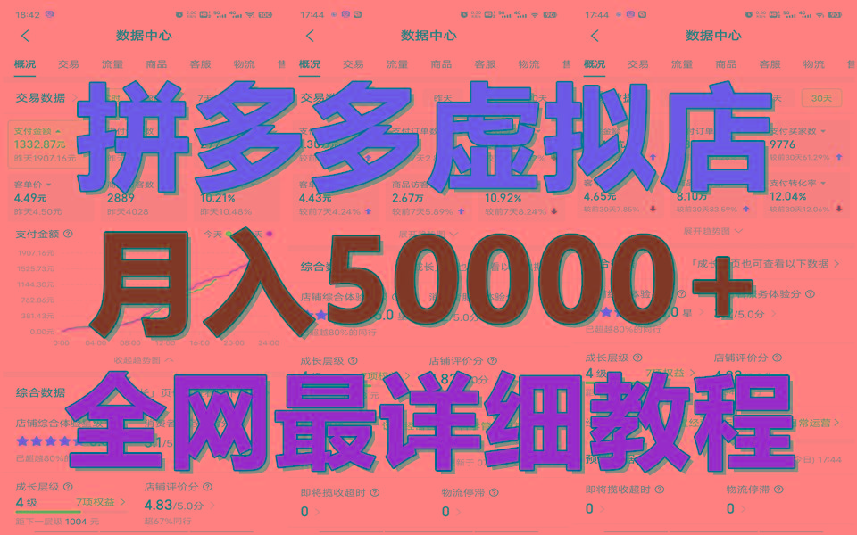 拼多多虚拟电商训练营月入50000+你也行，暴利稳定长久，副业首选-星河轻创