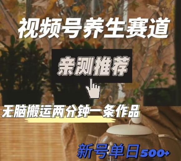 视频号养生赛道暴力掘金，无脑搬运，两分钟一条作品-新日单入500+-星河轻创