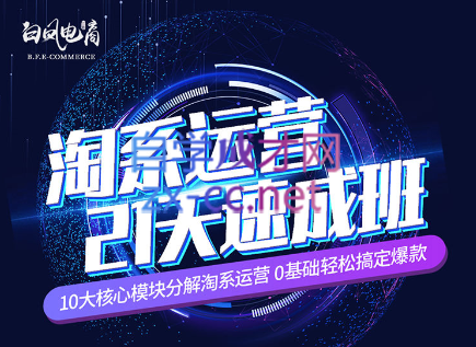 淘系运营21天速成班(更新24年6月)-星河轻创