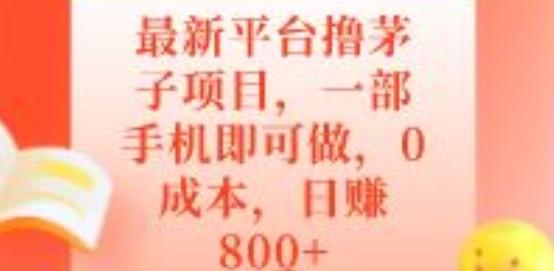 最新平台撸茅子项目，一部手机即可做，0成本，日赚800+-星河轻创