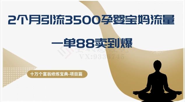 十万个富翁修炼宝典之13.2个月引流3500孕婴宝妈流量，一单88卖到爆-星河轻创
