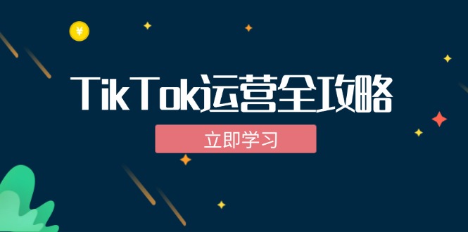 TikTok实战运营全攻略：从下载软件到变现，抖音海外版实操教程-星河轻创
