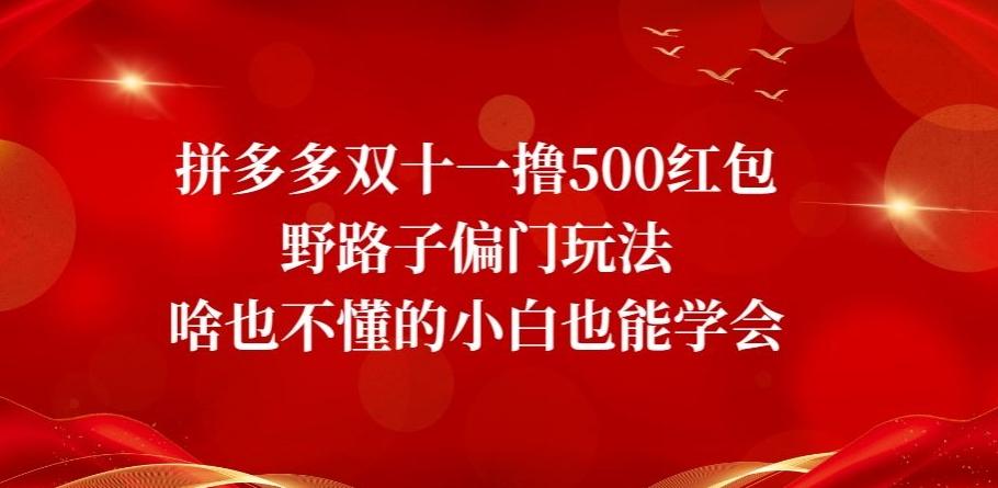 拼多多双十一撸500红包野路子偏门玩法，啥也不懂的小白也能学会【揭秘】-星河轻创